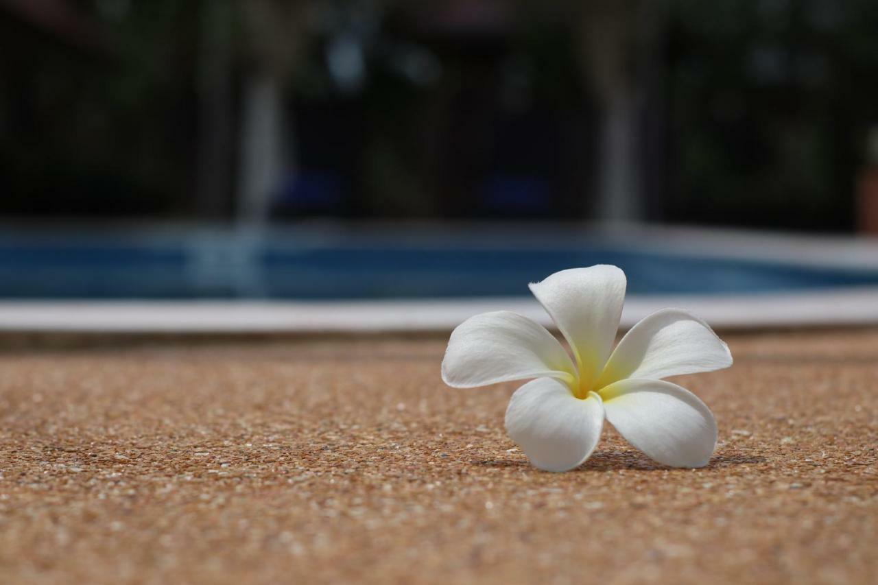 The Hillside Pranburi Resort Экстерьер фото